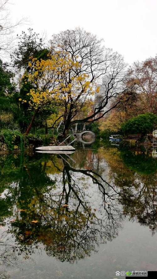 母亲的桃花源流淌:那温暖而美好的情感世界