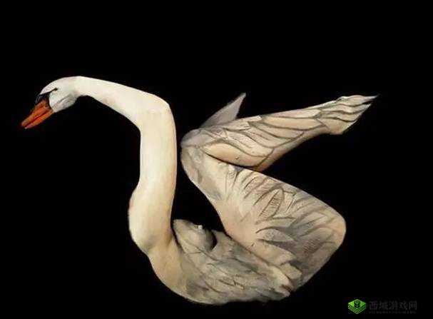 GOGOGO 大胆人文艺术:探索其独特魅力与深远意义