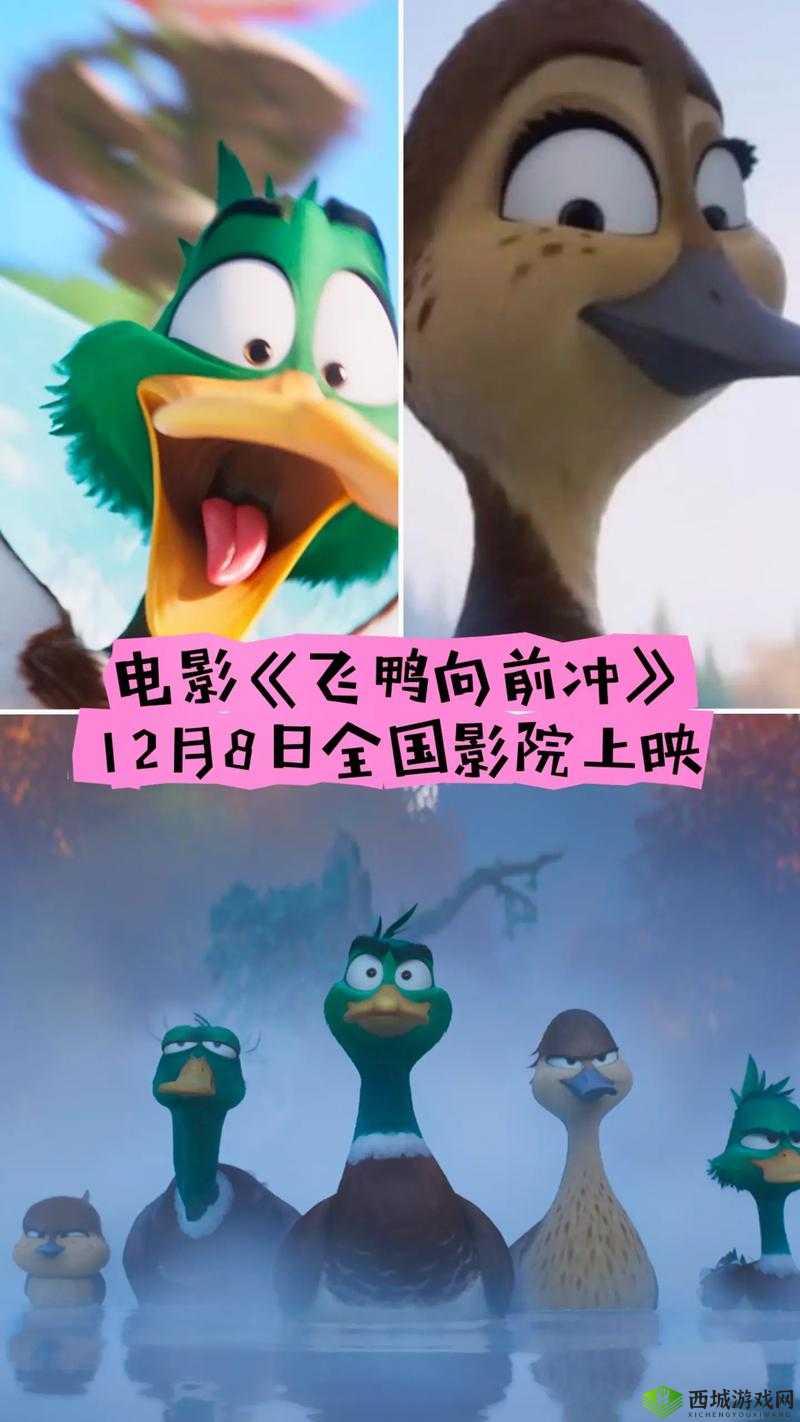 最新四色米奇影视 777 在线看:畅享精彩影视之旅