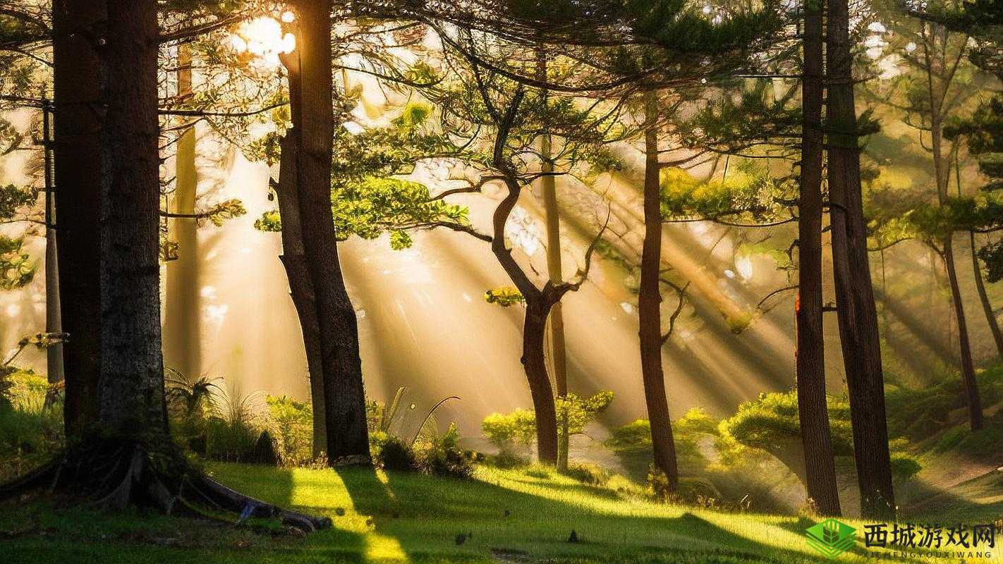 冬天的森林我和妹妹到森林去:一段充满惊喜与神秘的探险之旅