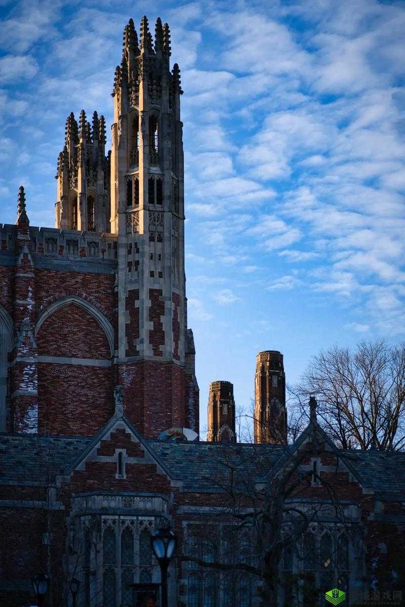 夜耶鲁 2024 众乐乐:共赴璀璨未来的欢乐盛宴