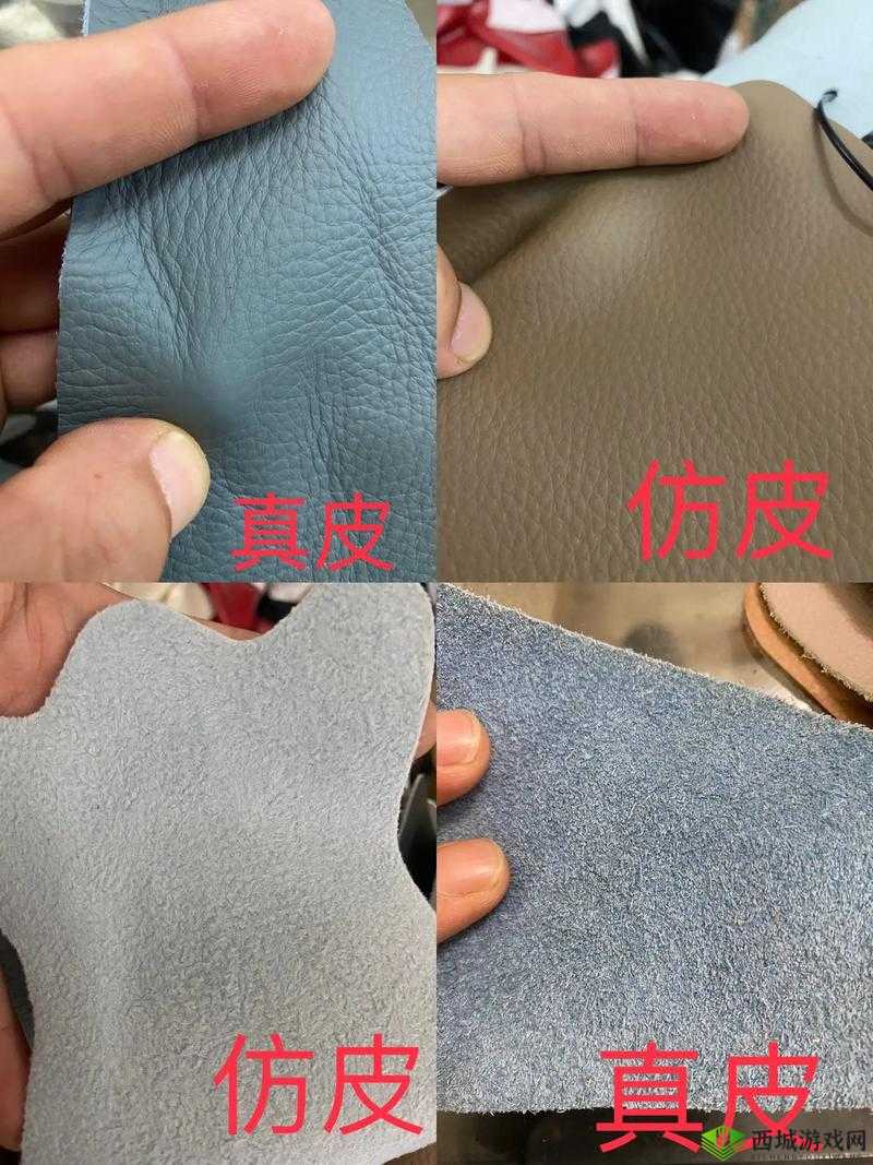 AAAA 级的毛皮最简单三个颜色之详细解读与分析