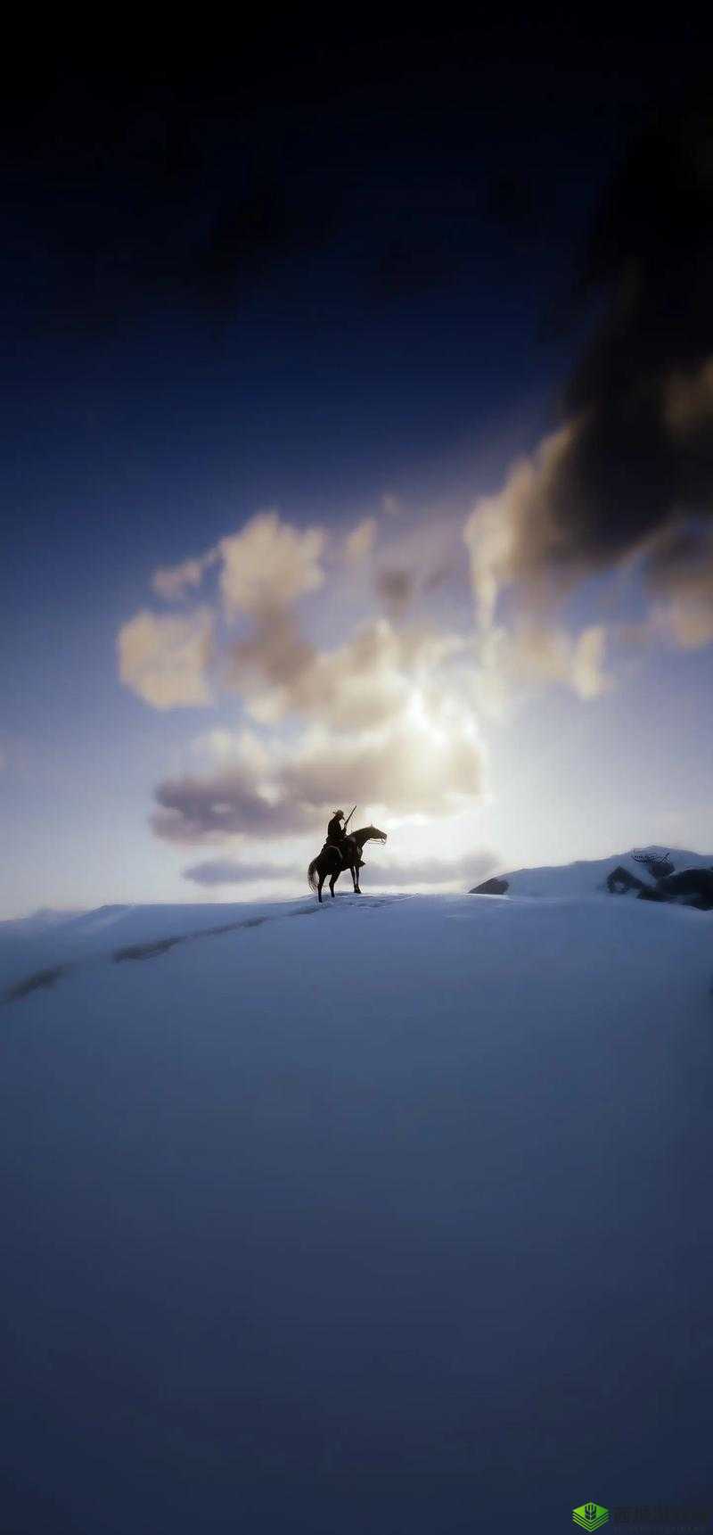 40 岁大妈荒野大镖客央视纪录：一段独特的荒野冒险之旅