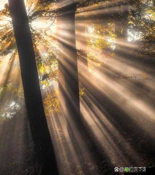 97 好色 :带你领略多彩世界的独特魅力与精彩瞬间