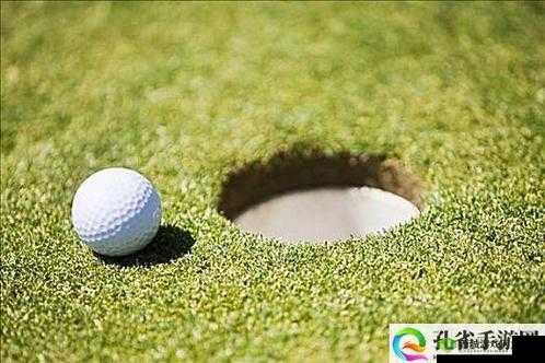 我成了大家的高尔夫球洞：一段独特而奇妙的经历