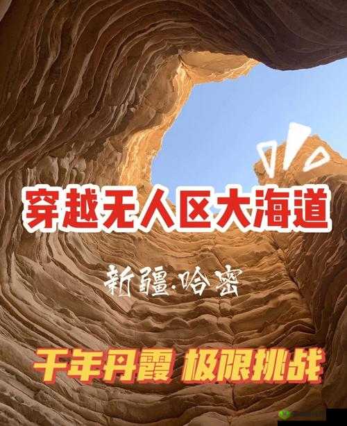 亚洲无人区码一码二码三码的含义:探寻神秘区域的独特编码意义
