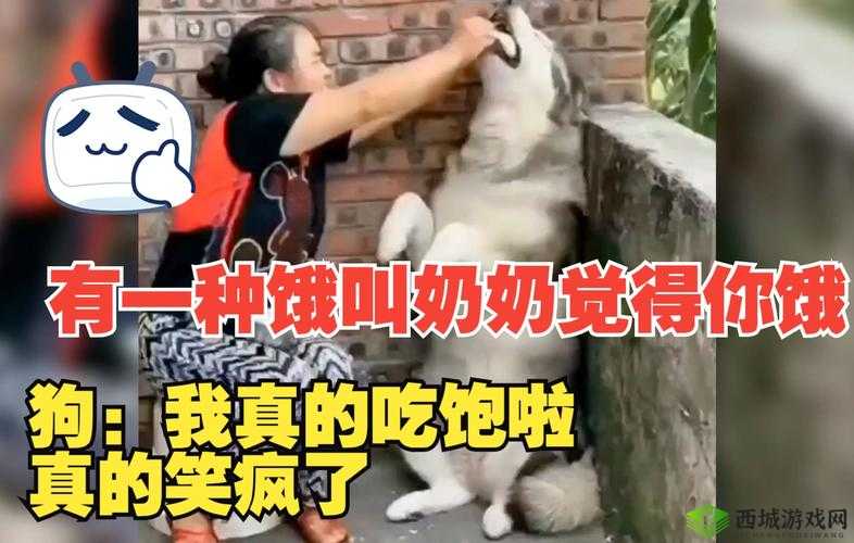 饿了吗本王霸气宣告:这就喂饱你啦