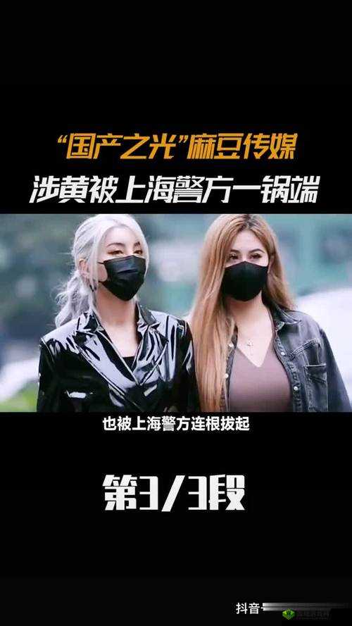 麻豆无码国产在线观看资源精彩呈现