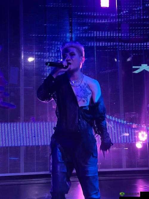 顶级RAPPER潮水日本:带你领略独特的说唱魅力与文化风情