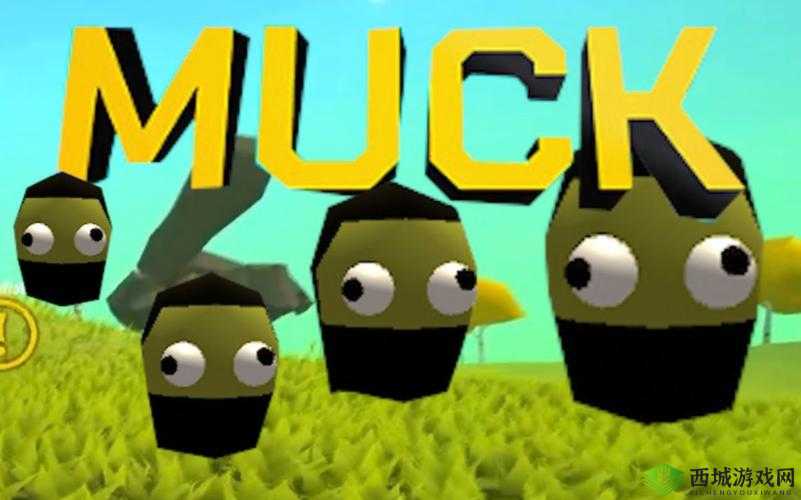 Muck联机方法及其在游戏资源管理中的重要性