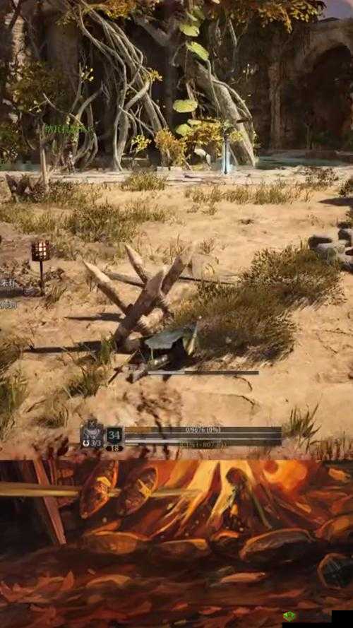 神佑释放公测时间大揭秘，历史与未来的交织