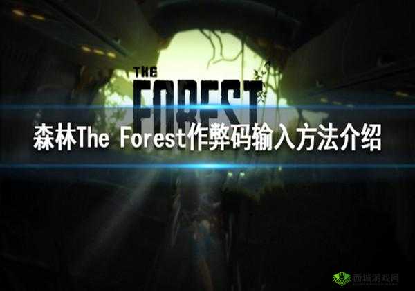 森林作弊码怎么穿墙,在游戏资源管理中的深度解析