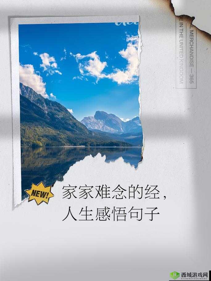 五十路初摄:探索别样的人生阶段与经历