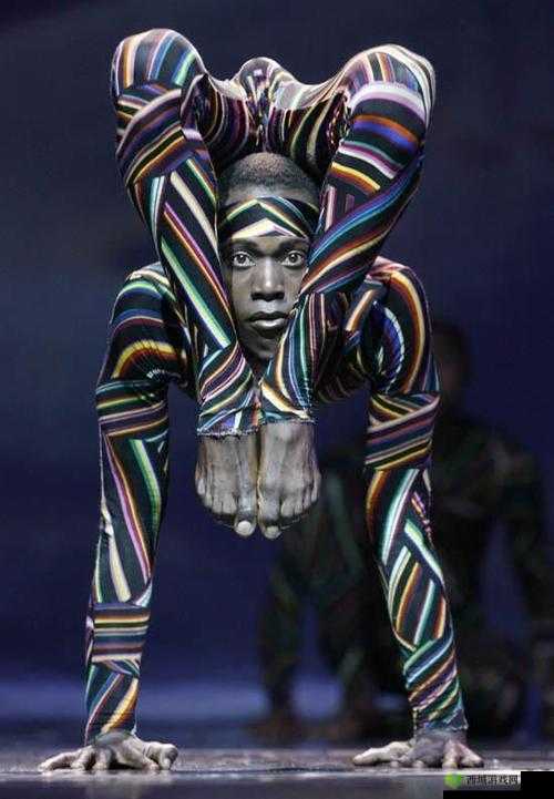 欧美一级 A 片毛片免费观看柔术:展现人体极限的独特艺术