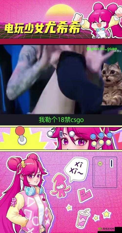 17 岁俄罗斯 CSGO 选手:崛起之路的热血与荣耀