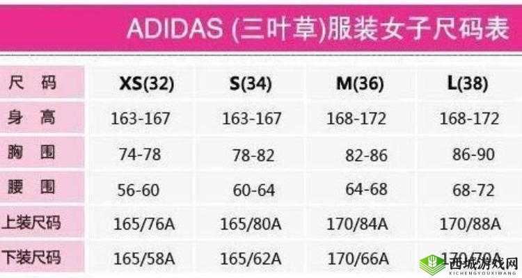 等级提升视角下三叶草 M 码与欧洲码区别解析
