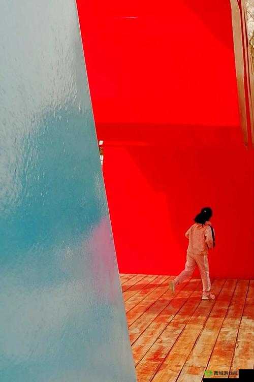 俄罗斯老太特黄大片：独特视角下的别样呈现