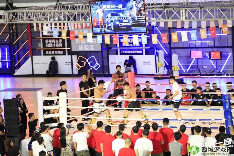 yy4480 :带来精彩无限的全新体验之旅