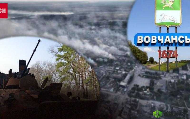 7X7X7X7X 任意槽 2024:探索其独特魅力与无限可能