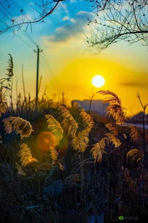 嗟嗟嗟嗟嗟嗟好痛:为何会有如此锥心之痛