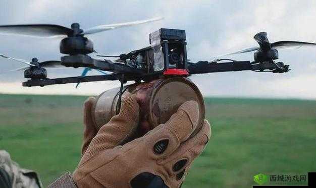 我要打飞行机 8X8X 视频海外:探索未知的飞行世界