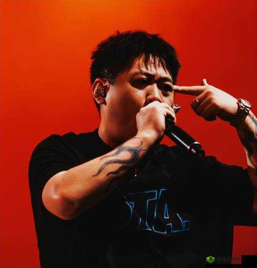 RAPPER 日本免费大全网站:日本 RAPPER 音乐一网打尽