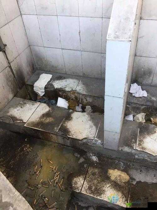 国内沟厕无码在线观看:厕所里的私密世界