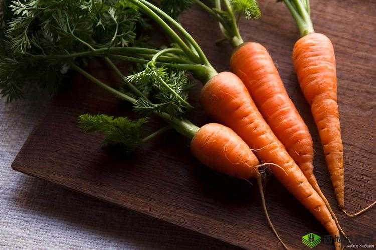 女的用胡萝卜用大头还是小头:探讨选择背后的原因和影响