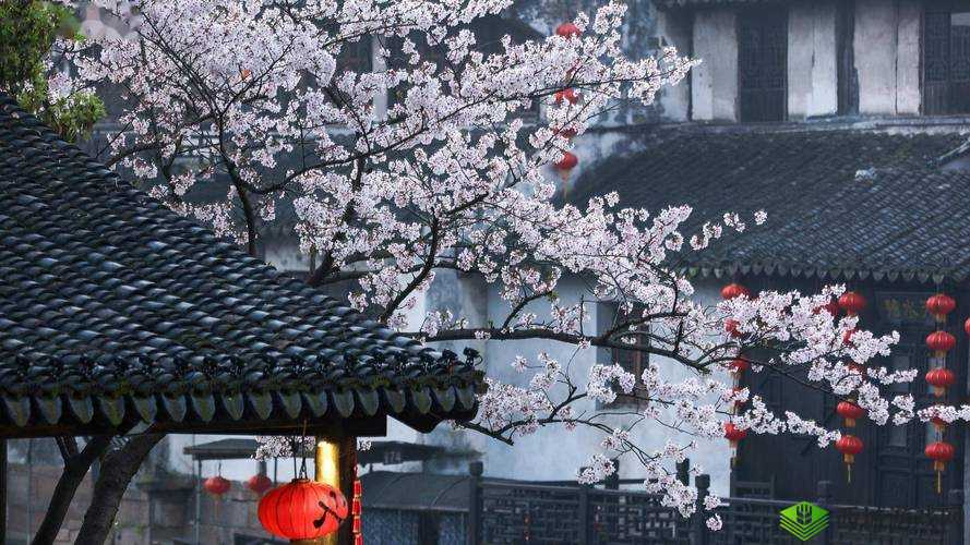 一场春雨,唤醒了江南的杏花烟雨,也唤醒了那一段尘封的古言故事