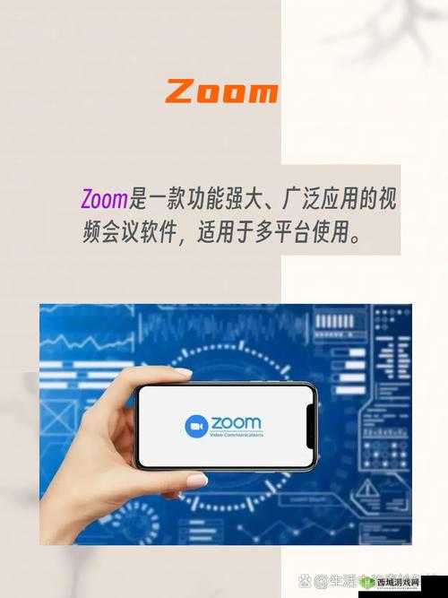 对比:ZOOM 与 ZOOMHD 性能孰优孰劣