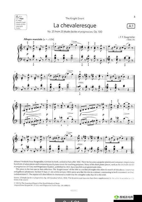 独奏骑士,探索与挑战的旋律