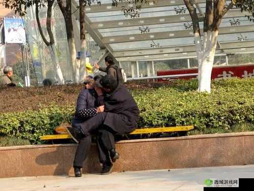 公园里的老年镖客视频大全:各种精彩老年镖客视频全在这里