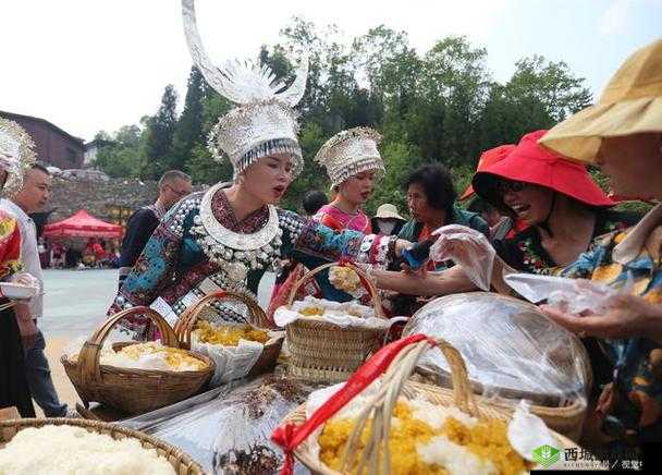 苗族 B 有啥区别:深入探究苗族不同分支之间的差异与特点