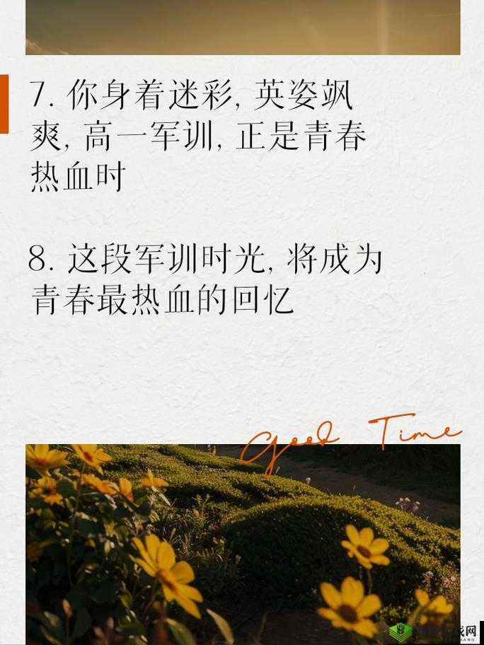 出格校园 POP11 高中：青春热血的校园故事