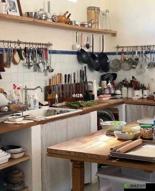 厨房索要刷碗总怎么解决:探寻有效应对方法与策略