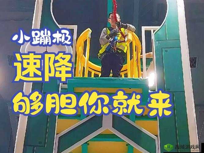 夜已深,来点刺激的:挑战心跳极限的深夜节目