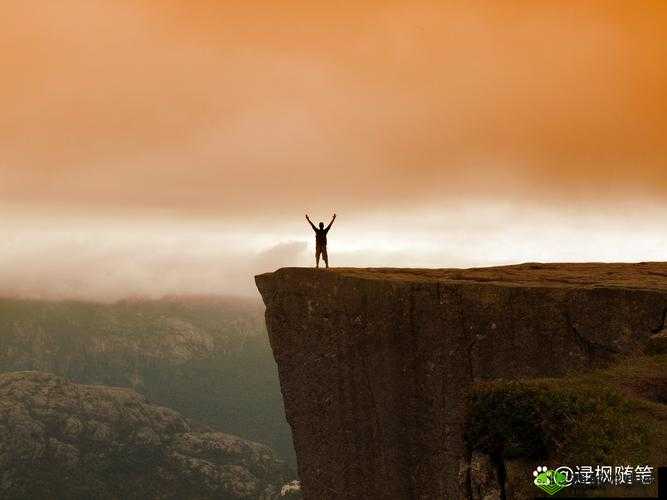 二狗寻花:一段充满未知与惊喜的奇异旅程