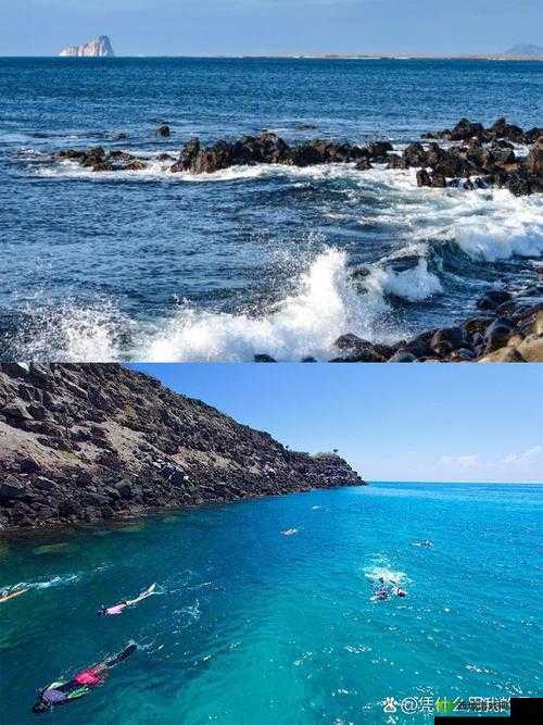 Porin141516:探索未知的奥秘