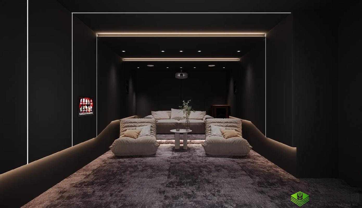 私人家庭影院 3355 :打造极致视听盛宴的专属空间