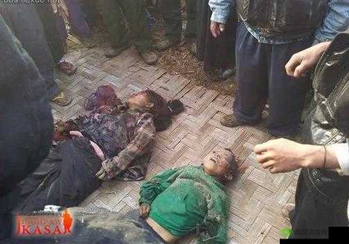 缅甸北部恐怖血腥网站:揭秘网络黑暗角落的真相