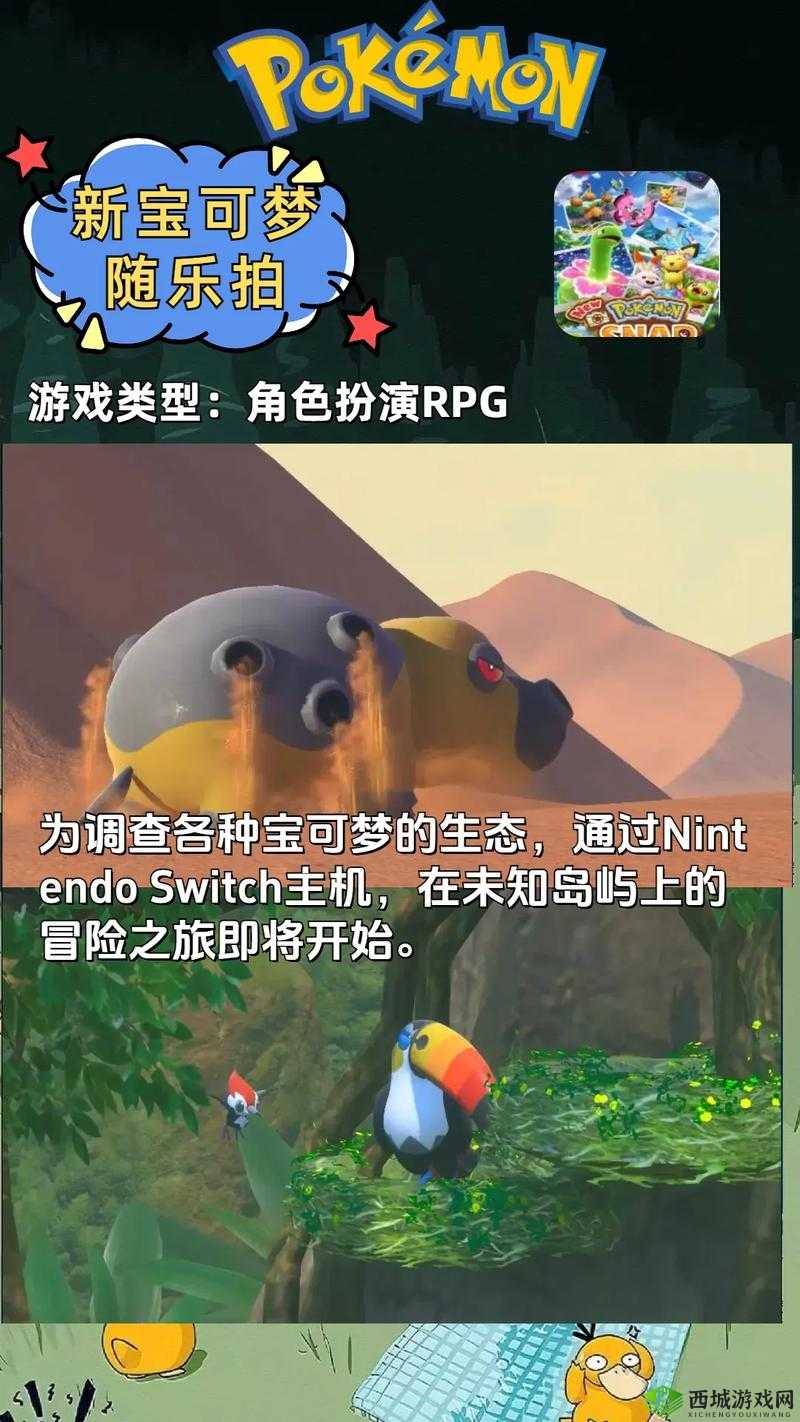 宝可梦大探险，团团石的获取与应用全解析