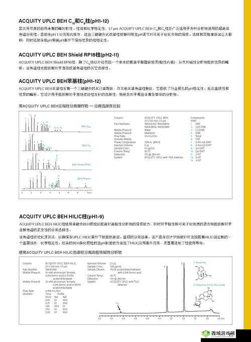 探索waters 色谱柱 c18 的奥秘:分离科学的卓越之选