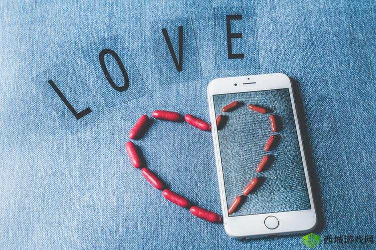 女性角色去掉小内皮肤的软件:隐私保护与个人自由的平衡点