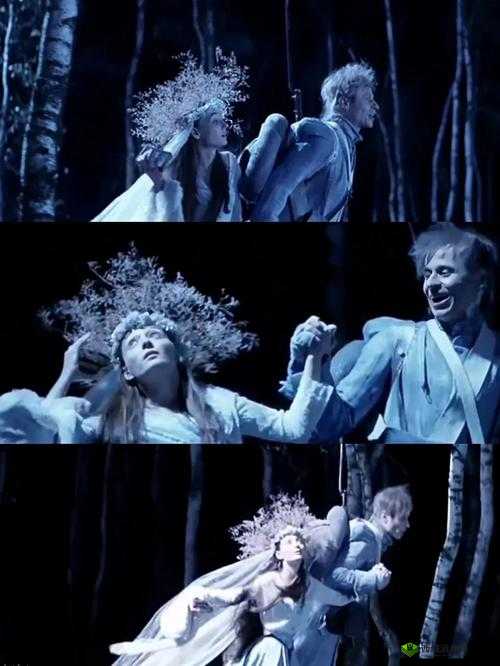 野花韩国高清完整版在线观看:揭秘韩国电影的独特魅力