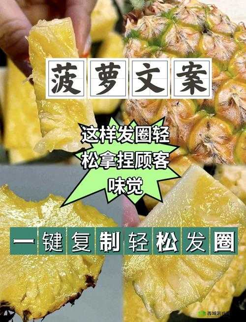 菠萝视频在线完整版免费观看高清,精彩内容不容错过