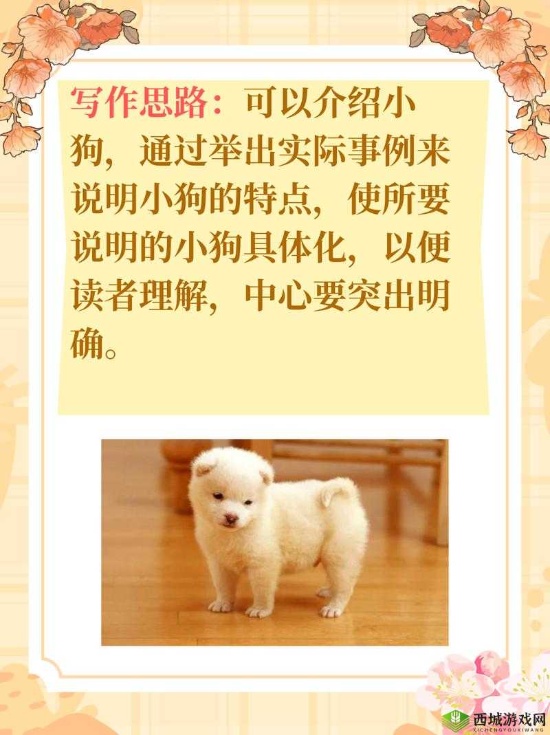 小动物之星开局思路介绍