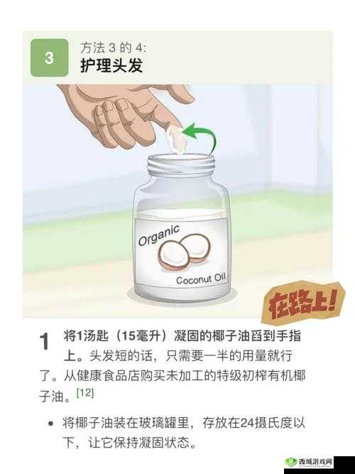 小动物之星椰子的用法介绍