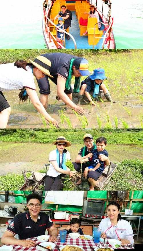 夫妻间独特的 108 种插秧法:探索亲密关系新维度