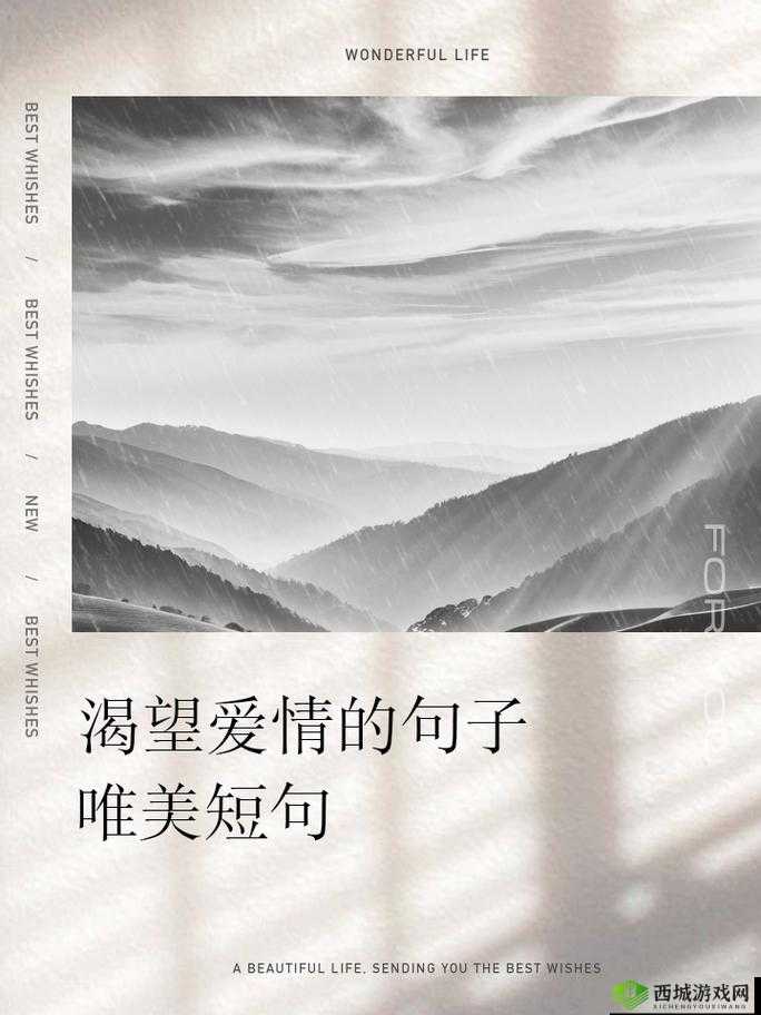 我已来不及等待想要把你拥入怀:此生最深情的渴望