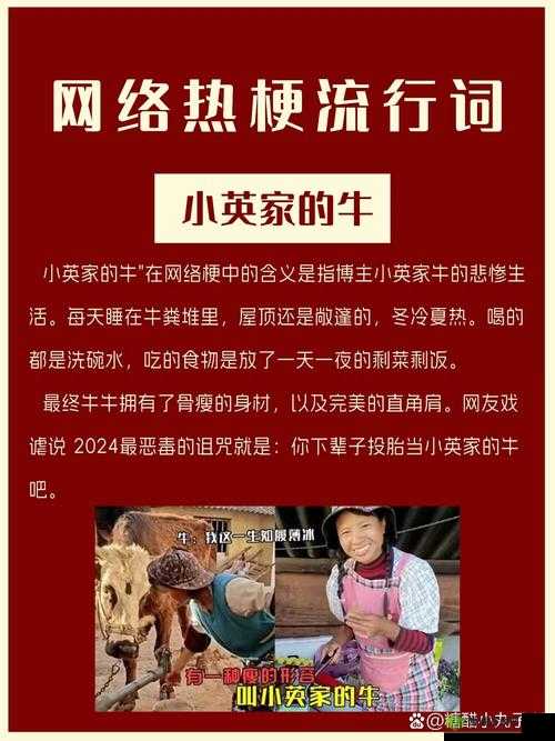 一起草国卢:17c 网络热梗背后的故事